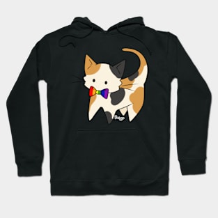 Gay Pride Calico Kitty Hoodie